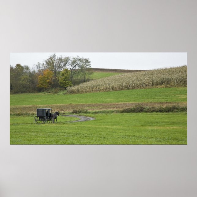 USA, Northeastern Ohio. Amish buggy on farm Poster (Front)