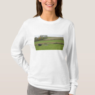 USA, Northeastern Ohio. Amish buggy on farm T-Shirt