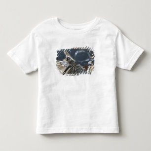 USA, Ohio, Dayton: America’s Packard Museum Toddler T-Shirt