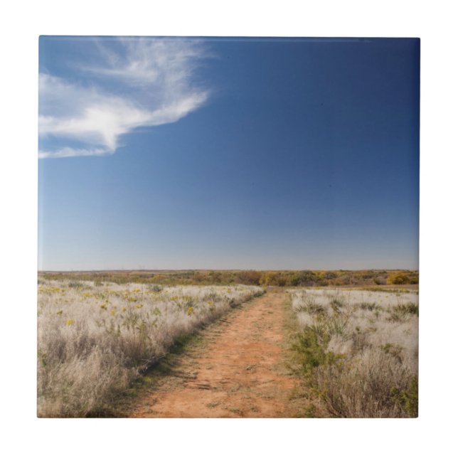 USA, Oklahoma, Black Kettle National Grasslands Tile (Front)