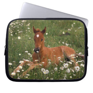 USA, Oregon, Arabian Pony. Laptop Sleeve