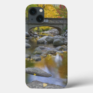 USA, Oregon, Ashland, Lithia Park. Autumn iPhone 13 Case