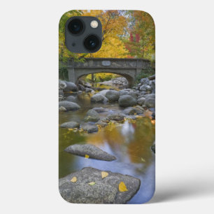 USA, Oregon, Ashland, Lithia Park. Autumn iPhone 13 Case