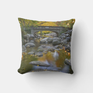 USA, Oregon, Ashland, Lithia Park. Autumn Cushion