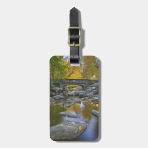 USA, Oregon, Ashland, Lithia Park. Autumn Luggage Tag