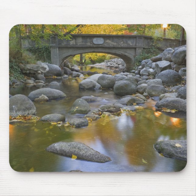 USA, Oregon, Ashland, Lithia Park. Autumn Mouse Mat (Front)