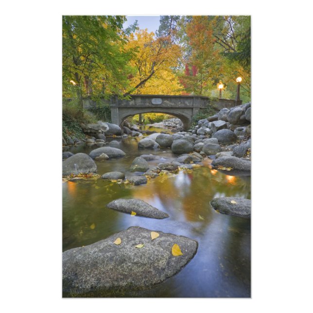 USA, Oregon, Ashland, Lithia Park. Autumn Photo Print (Front)