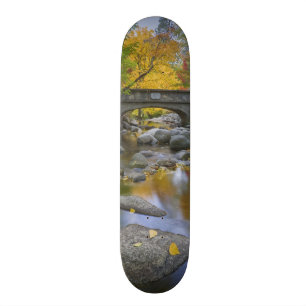 USA, Oregon, Ashland, Lithia Park. Autumn Skateboard