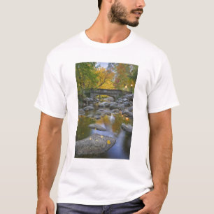 USA, Oregon, Ashland, Lithia Park. Autumn T-Shirt