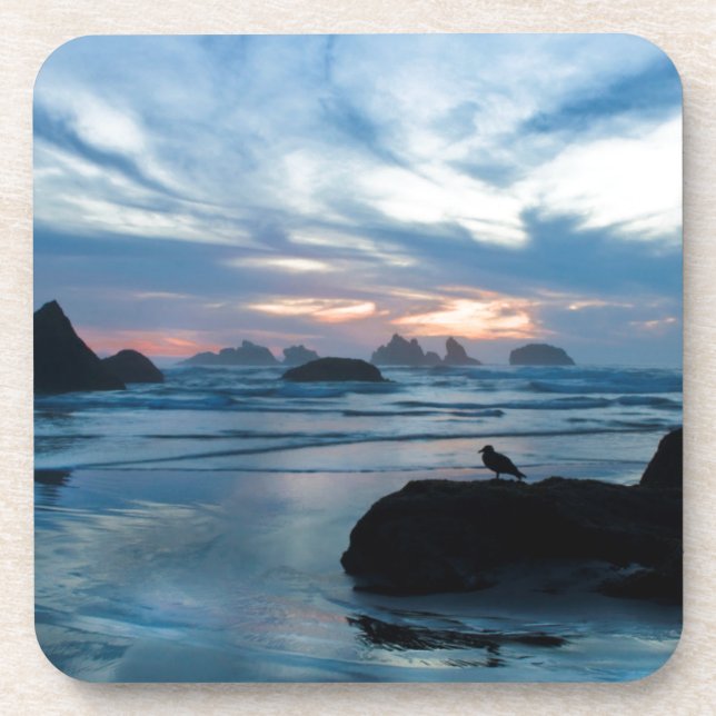 USA, Oregon, Bandon Beach. Seagull on rock Coaster (Front)