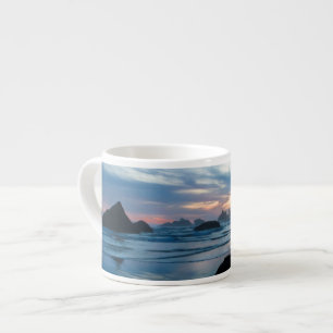 USA, Oregon, Bandon Beach. Seagull on rock Espresso Cup