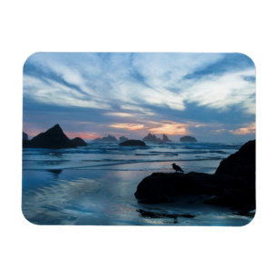 USA, Oregon, Bandon Beach. Seagull on rock Magnet