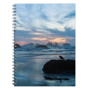 USA, Oregon, Bandon Beach. Seagull on rock Notebook