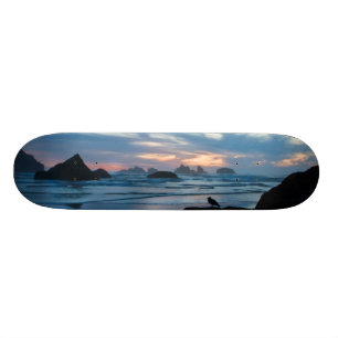 USA, Oregon, Bandon Beach. Seagull on rock Skateboard