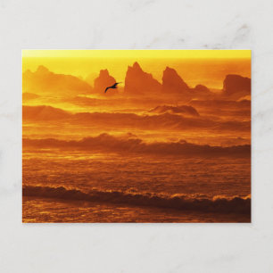 USA, Oregon, Bandon. Sunset over waves and sea Postcard