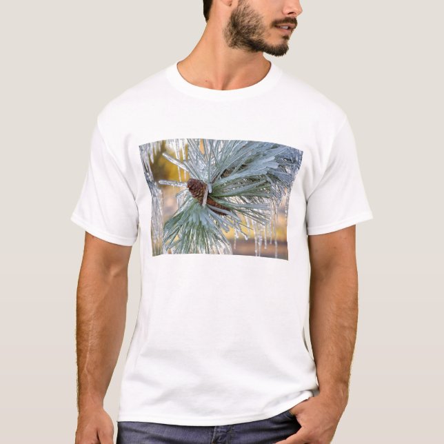 USA, Oregon, Bend. Ponderosa pine needles are T-Shirt (Front)