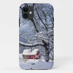 USA, Oregon, Clackamas County. Fresh snow covers