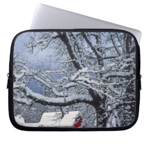 USA, Oregon, Clackamas County. Fresh snow covers