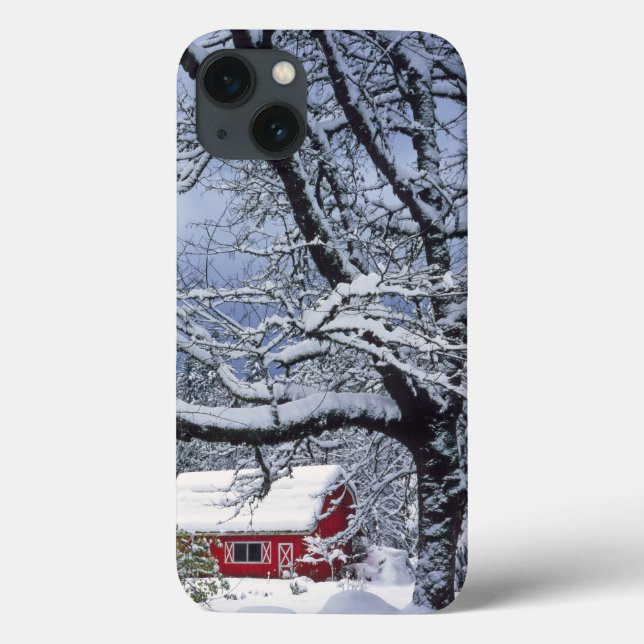 USA, Oregon, Clackamas County. Fresh snow covers (Back)