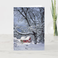 USA, Oregon, Clackamas County. Fresh snow covers