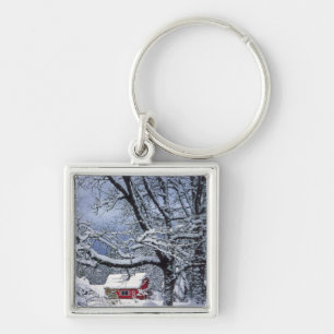 USA, Oregon, Clackamas County. Fresh snow covers Key Ring