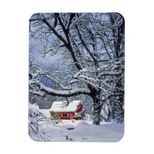 USA, Oregon, Clackamas County. Fresh snow covers Magnet