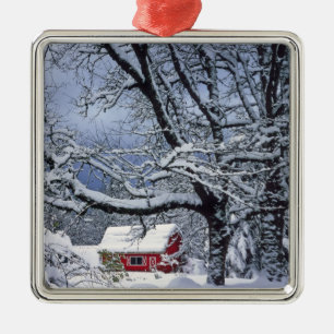 USA, Oregon, Clackamas County. Fresh snow covers Metal Tree Decoration