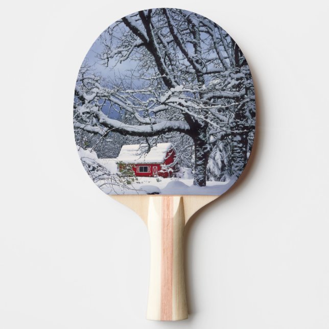 USA, Oregon, Clackamas County. Fresh snow covers Ping Pong Paddle (Front)