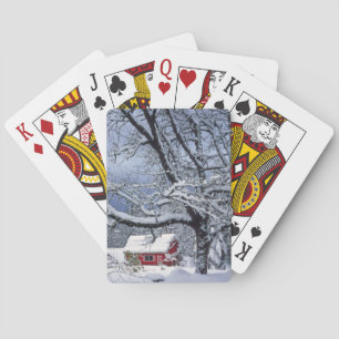 USA, Oregon, Clackamas County. Fresh snow covers Playing Cards