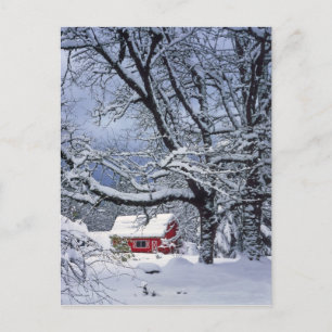 USA, Oregon, Clackamas County. Fresh snow covers Postcard