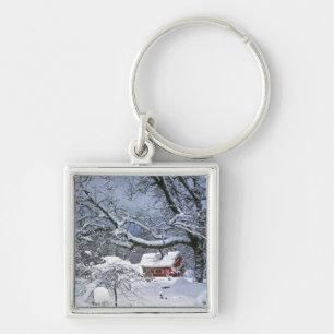 USA, Oregon, Clackamas County. Fresh snow Key Ring
