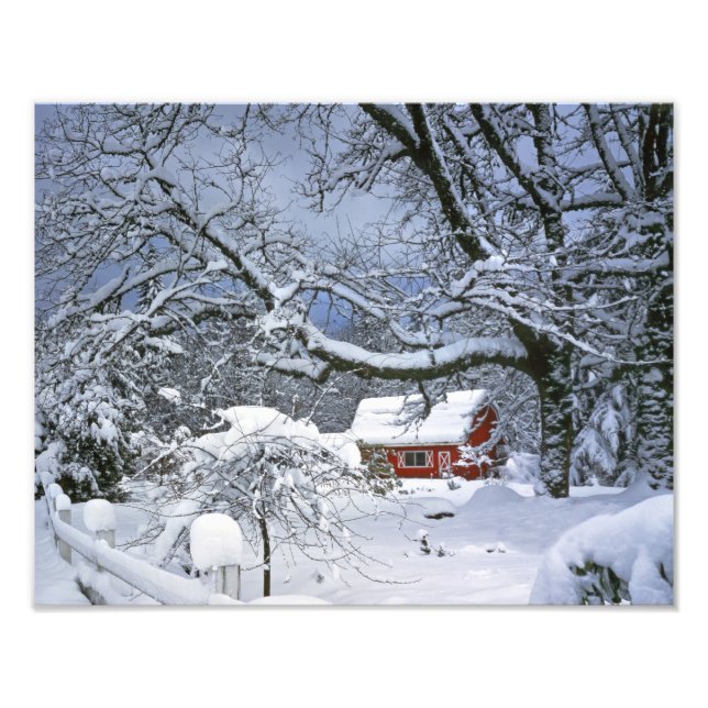 USA, Oregon, Clackamas County. Fresh snow Photo Print (Front)