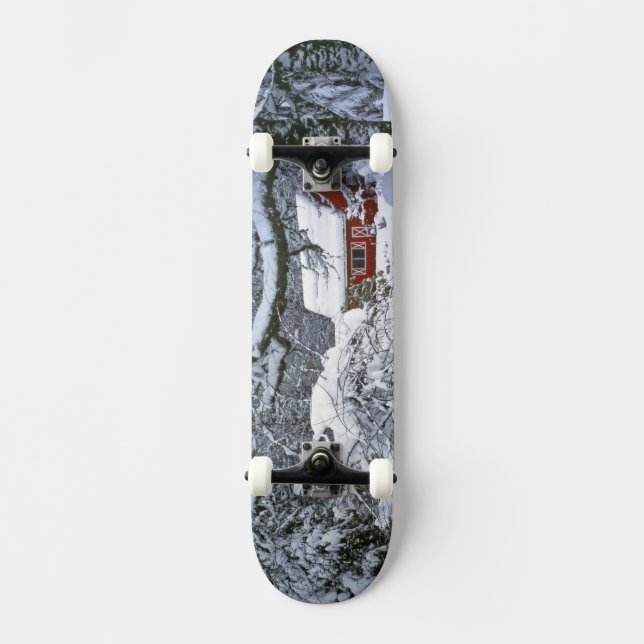 USA, Oregon, Clackamas County. Fresh snow Skateboard (Front)