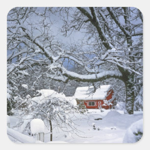 USA, Oregon, Clackamas County. Fresh snow Square Sticker