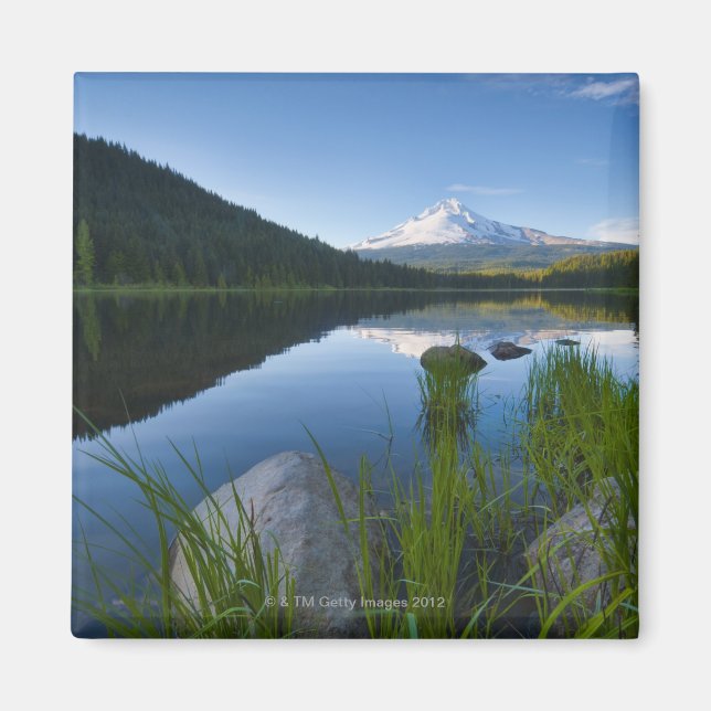 USA, Oregon, Clackamas County, View of Trillium 3 Magnet (Front)