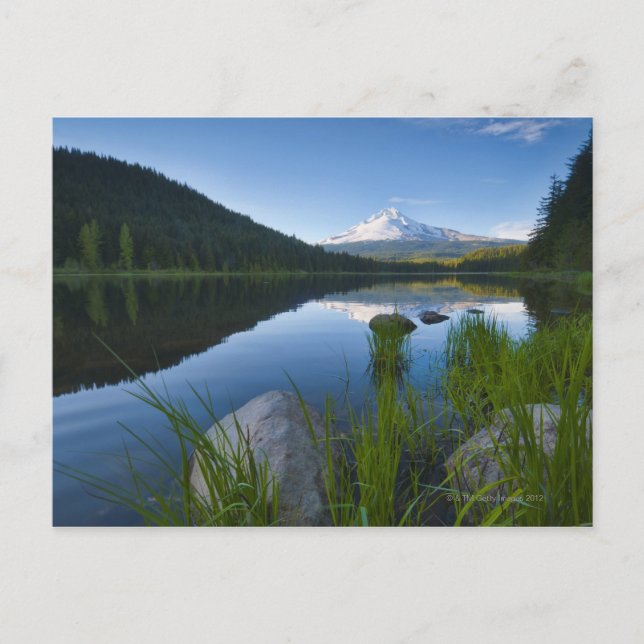 USA, Oregon, Clackamas County, View of Trillium 3 Postcard (Front)