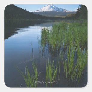 USA, Oregon, Clackamas County, View of Trillium 4 Square Sticker