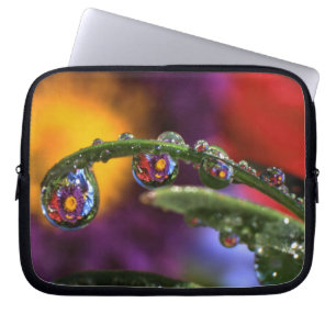 USA, Oregon, Close-up abstract of purple Laptop Sleeve