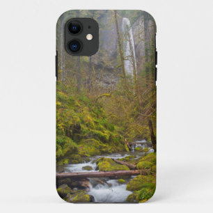 USA, Oregon, Columbia Gorge iPhone 11 Case