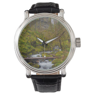 USA, Oregon, Columbia Gorge Watch
