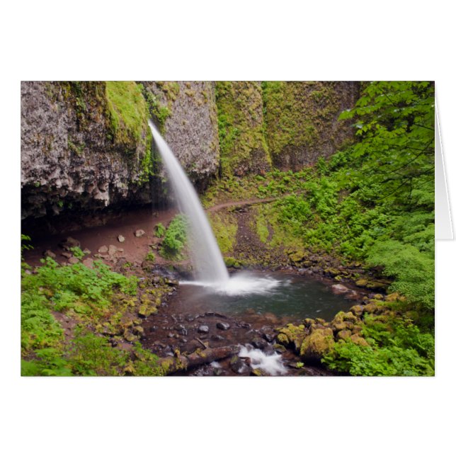 USA, Oregon, Columbia River Gorge 4 (Front Horizontal)