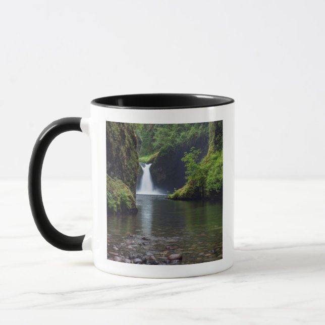 USA, Oregon, Columbia River Gorge 5 Mug (Left)