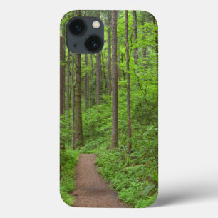 USA, Oregon, Columbia River Gorge. Elowah Falls iPhone 13 Case