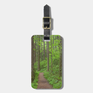 USA, Oregon, Columbia River Gorge. Elowah Falls Luggage Tag