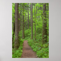 USA, Oregon, Columbia River Gorge. Elowah Falls