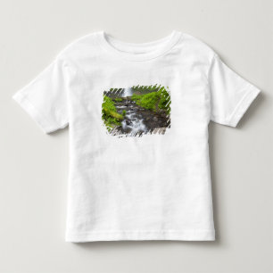 USA, Oregon, Columbia River Gorge, Latourell Toddler T-Shirt