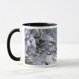 USA, Oregon, Columbia River Gorge Mug