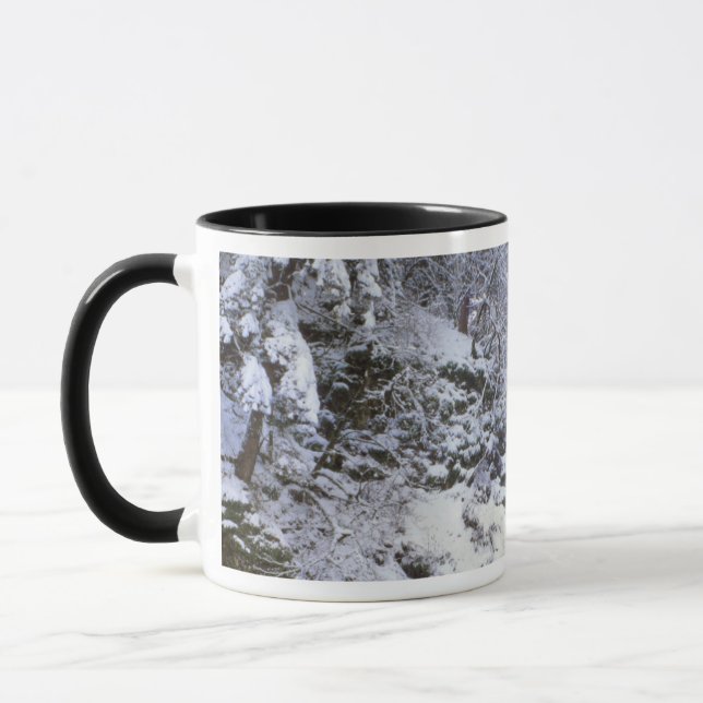 USA, Oregon, Columbia River Gorge Mug (Left)