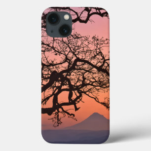 USA, Oregon, Columbia River Gorge National 2 iPhone 13 Case
