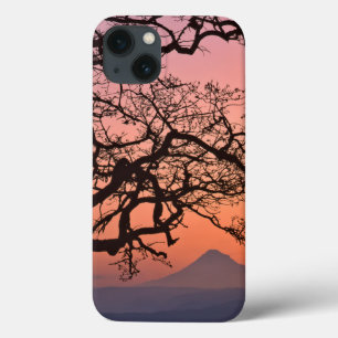 USA, Oregon, Columbia River Gorge National 2 iPhone 13 Case